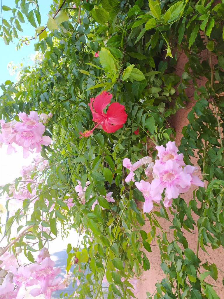IMG_20220923_105149.jpg