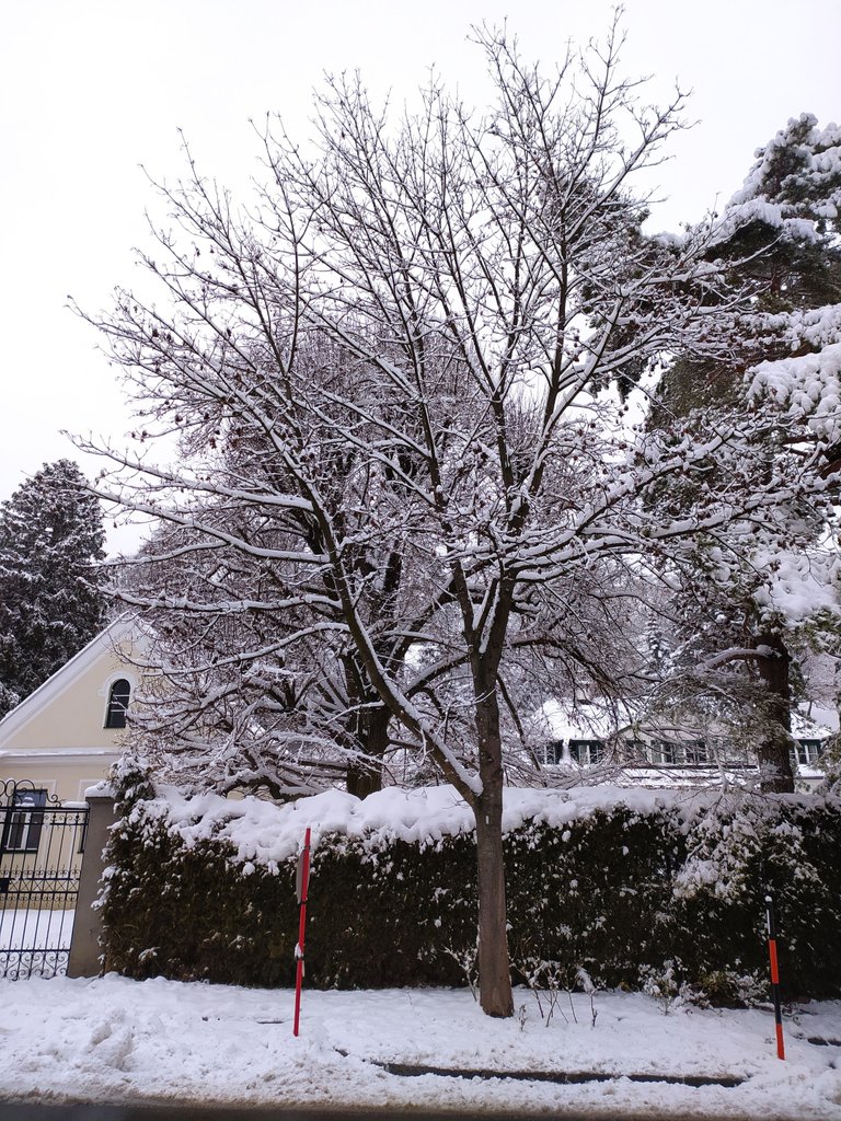 IMG_20230122_133917.jpg
