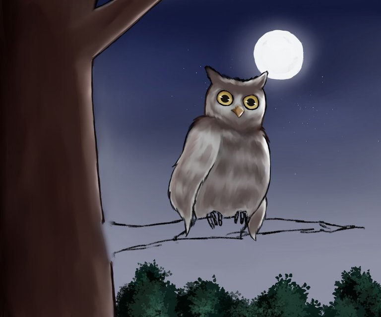 New idea owl.5..jpg