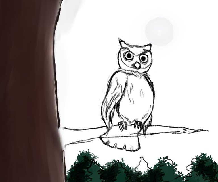 New idea owl.2..jpg