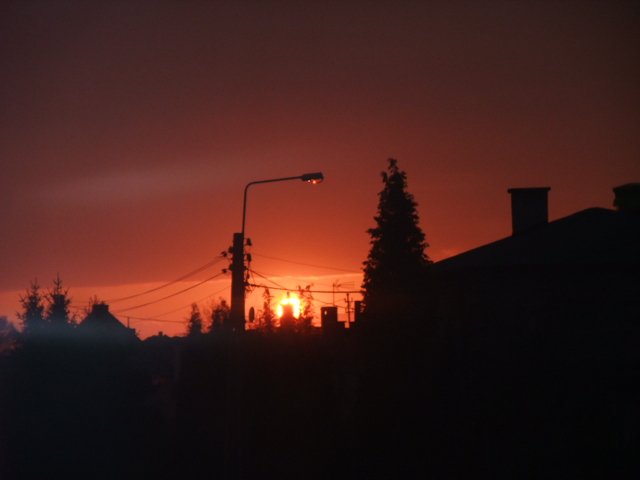 DSCF8118.JPG