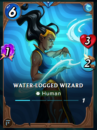 Water-Logged Wizard
