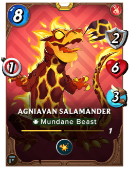 Agniavan Salamander
