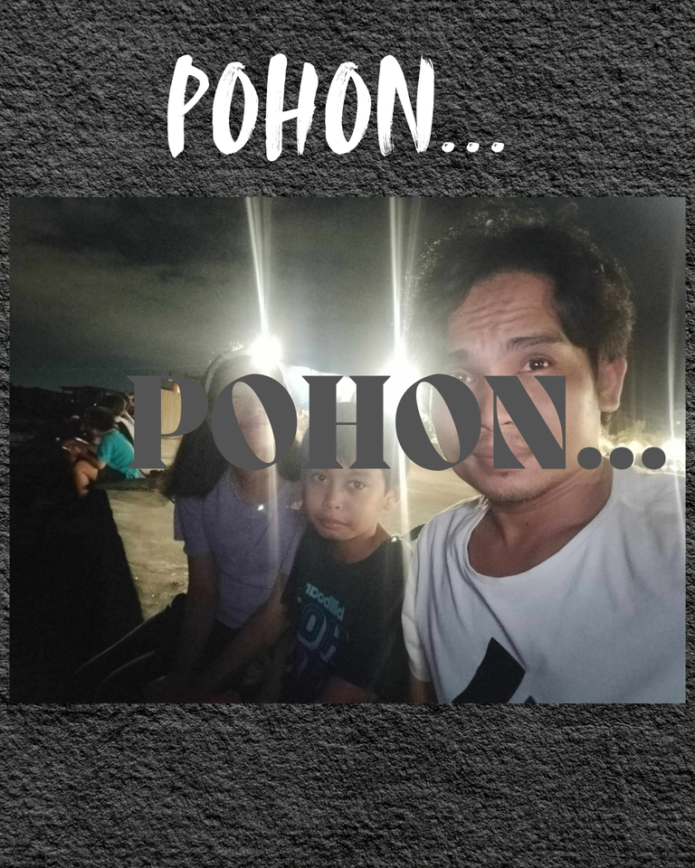 POHON....png