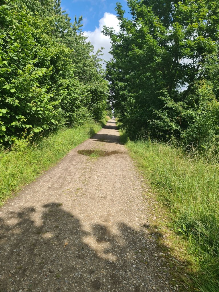 20250625_123336.jpg