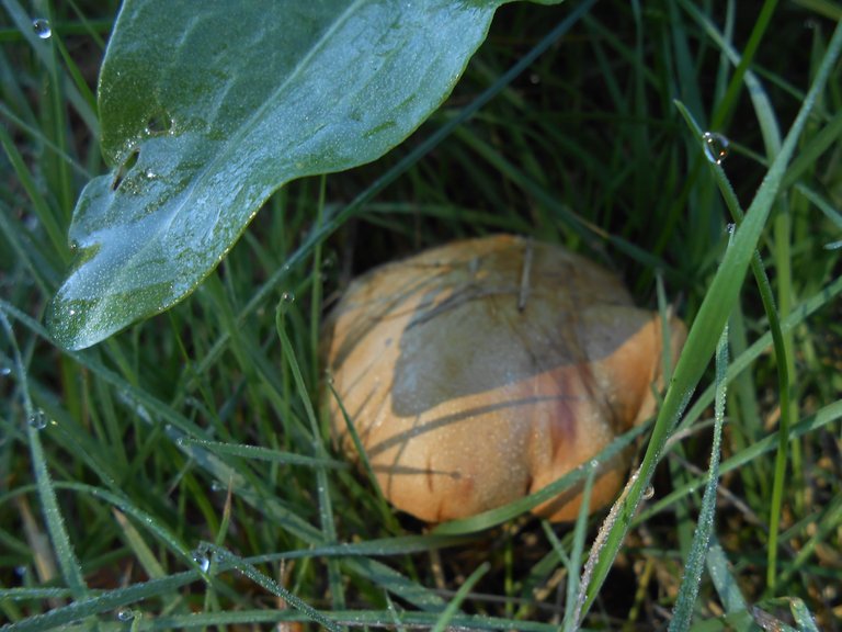 DSCN0006.JPG