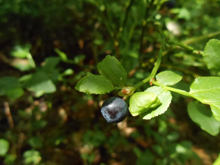 DSCN3414.JPG