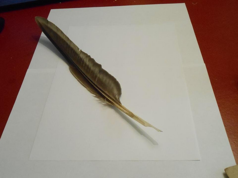 My Own Quill Pen Jan 2019