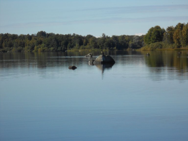 DSCN0016.JPG