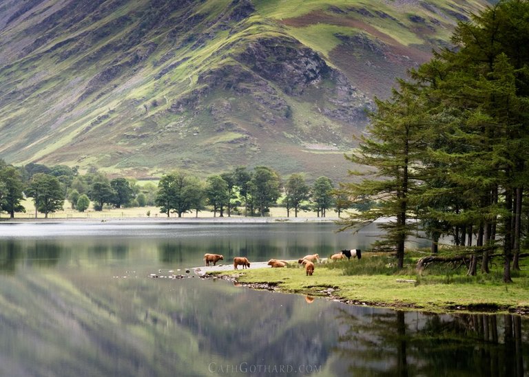 20-08-2018_Buttermere2-2.jpg