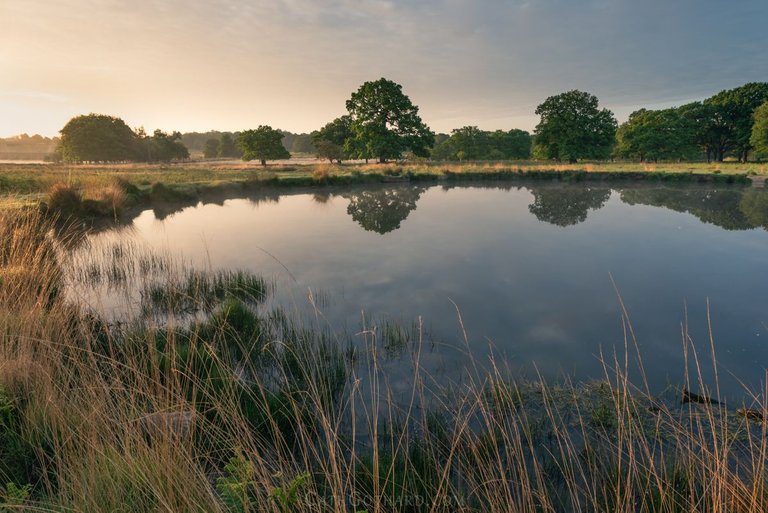 LovelyPonds-11.jpg