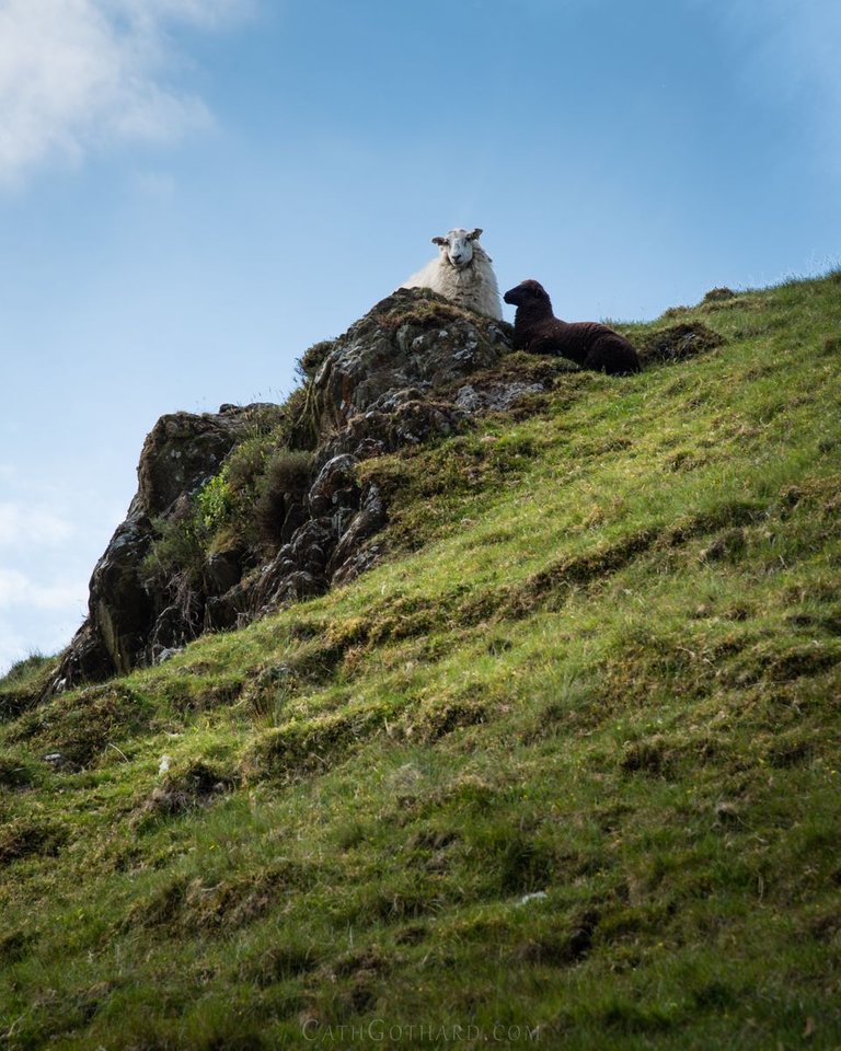 Llanberis-30.jpg