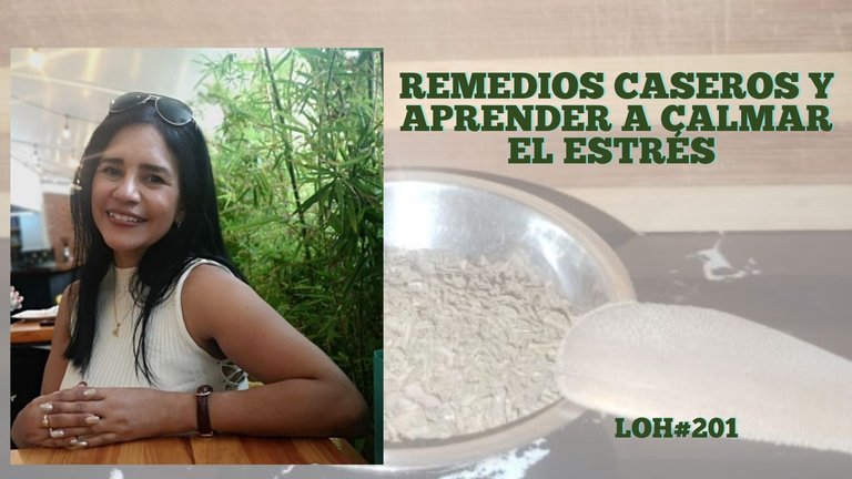 Remedios caseros spanish.jpg