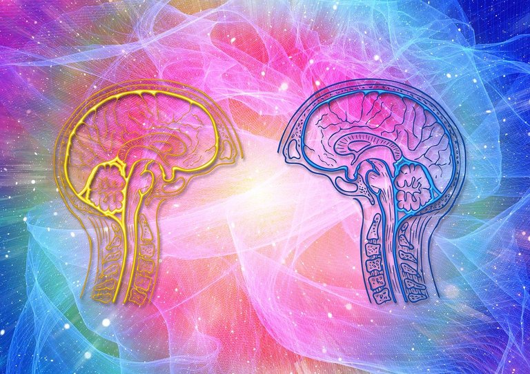 brain-4372151_1280.jpg