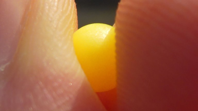 Human-Hand-Gloove-Fingers-Publicdomain (7).JPG