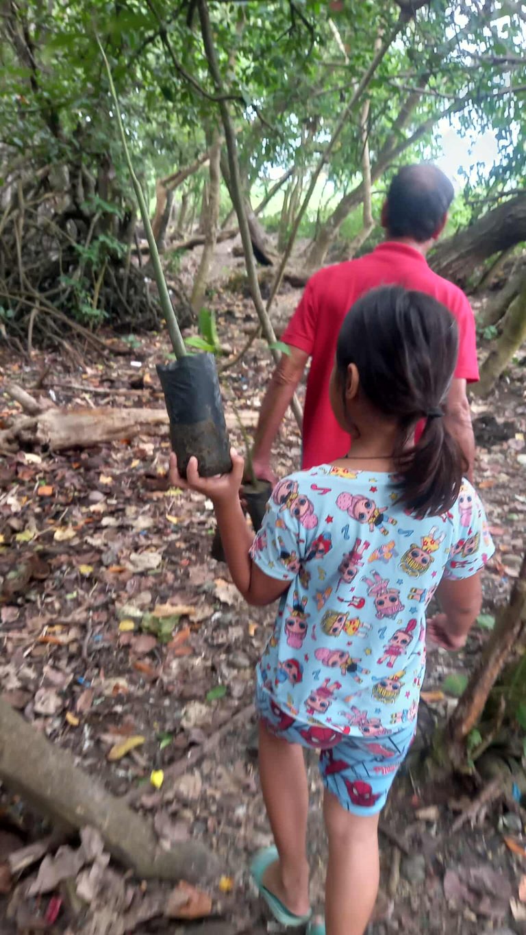 Wednesday Walk With Kids - Part of the Probation