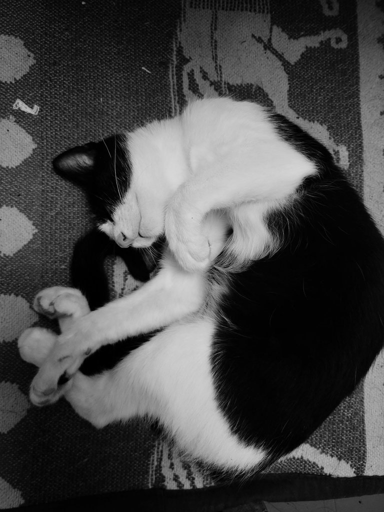 20230815_231318.jpg