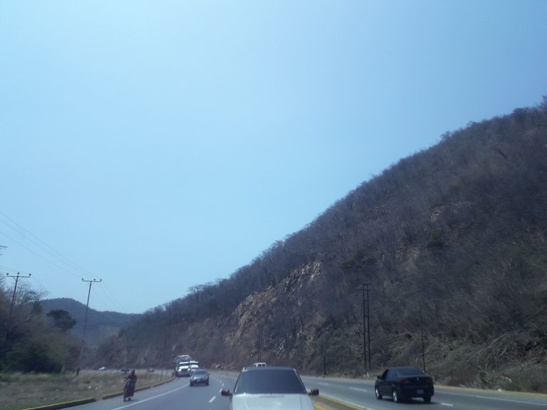 IMG_20250410_160540_212.jpg
