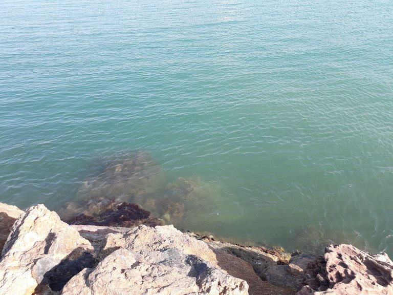 IMG_20250410_160543_564.jpg