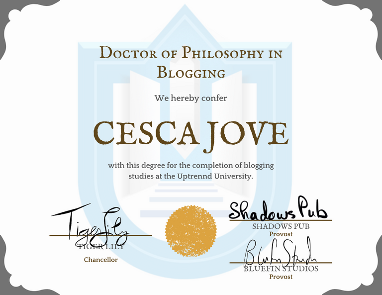 Certificate_Cesca_Jove.png
