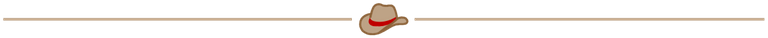 CowboyHat.png