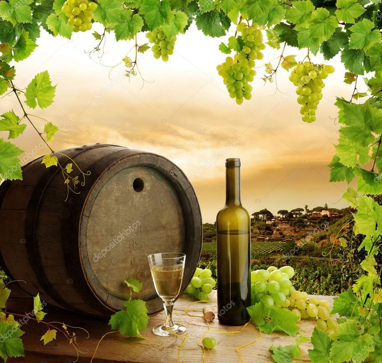 depositphotos_2284174-stock-photo-wine-grapes-grapevine-and-vineyard.jpg