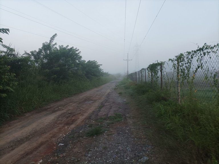 p06.jpg