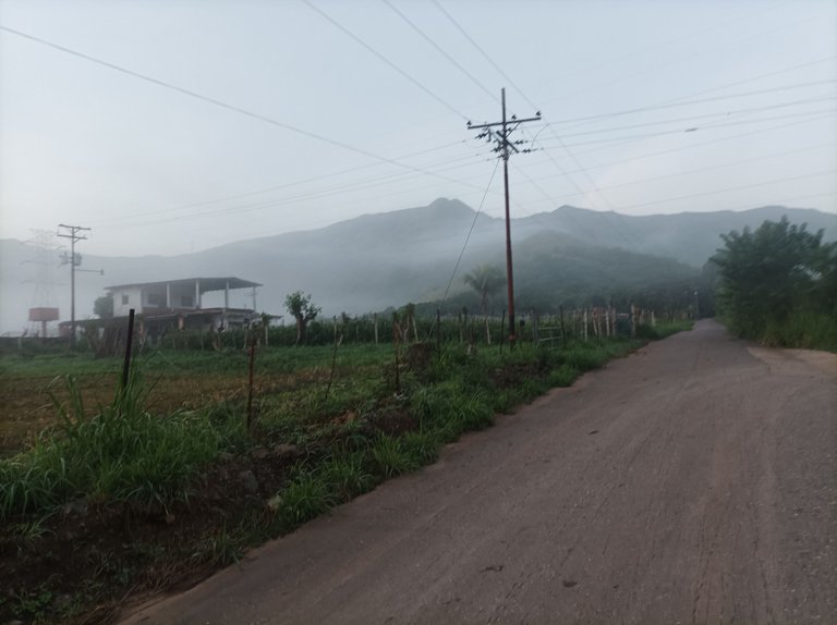 p05.jpg