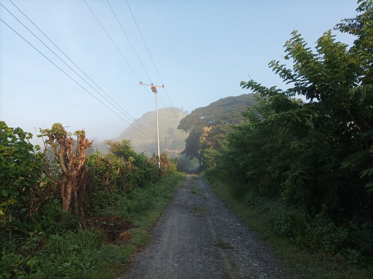 p13.jpg