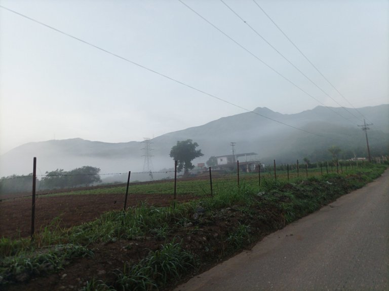 p04.jpg