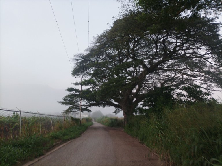 p02.jpg