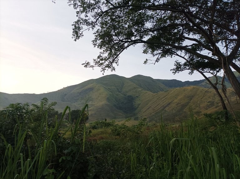 p15.jpg