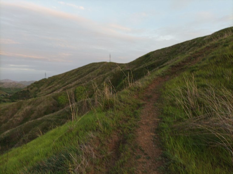 IMG_20250615_061516.jpg