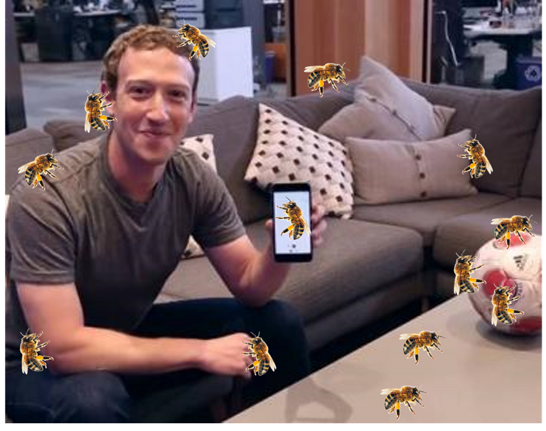 mz bee.png