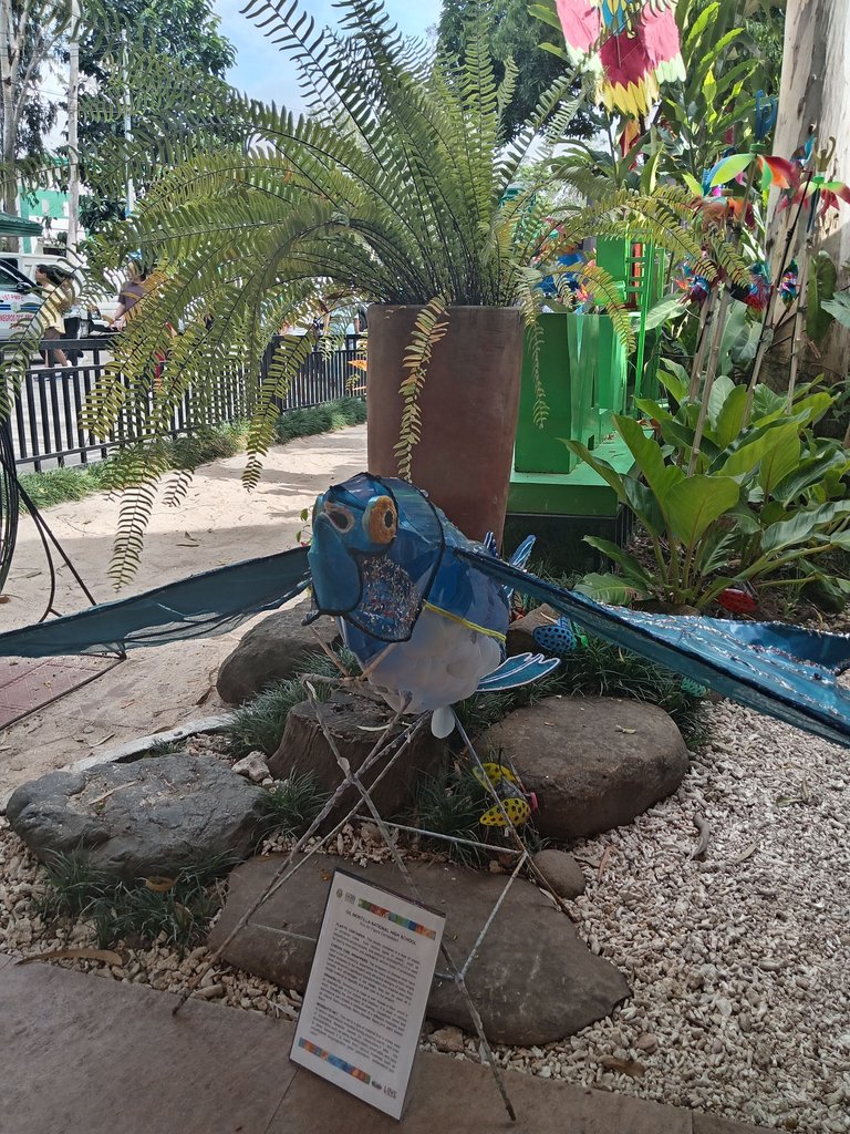 1000020578.jpg
