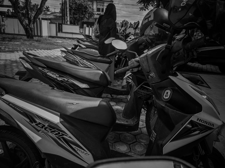 1680145578726-01.jpeg