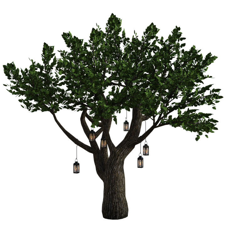 tree-3998443_960_720.png