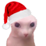 bingus_navideño.png