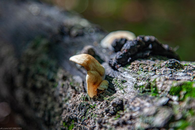 IMG_5612.jpg