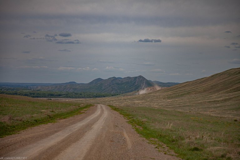 IMG_0350.jpg