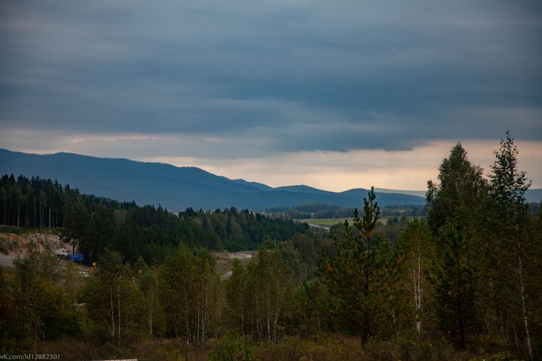 IMG_7401.jpg