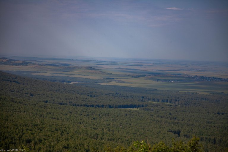 IMG_1464.jpg
