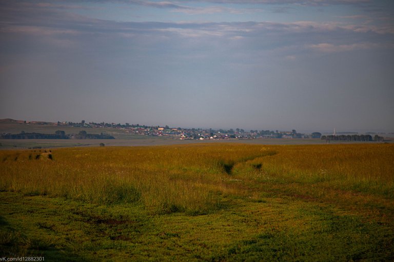 IMG_1455.jpg