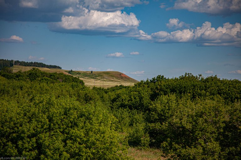 IMG_4962.jpg