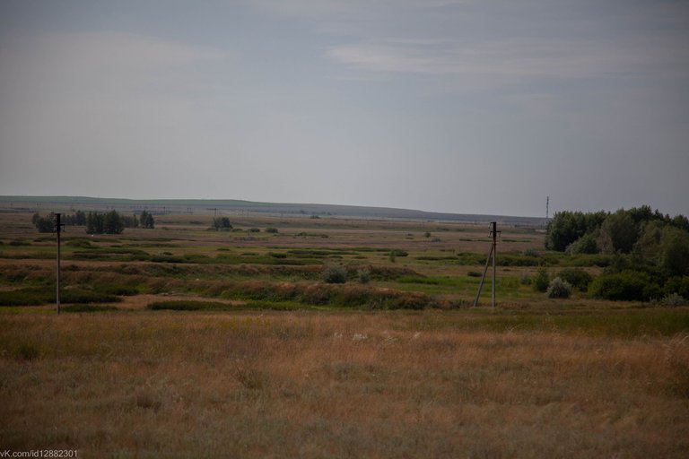 IMG_1200.jpg