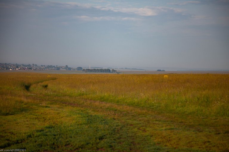 IMG_1456.jpg