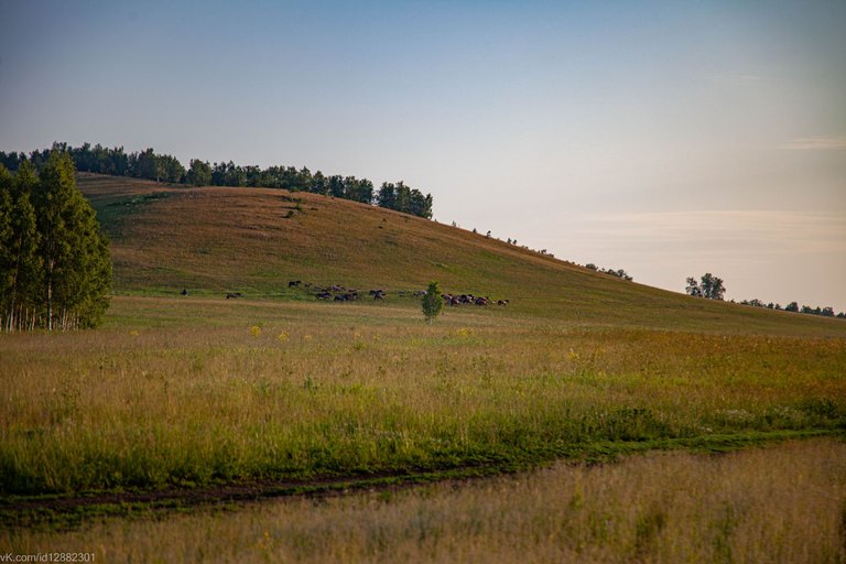 IMG_1439.jpg