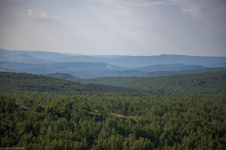 IMG_1492.jpg