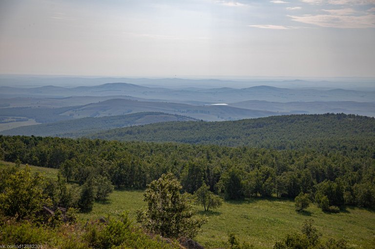 IMG_1488.jpg