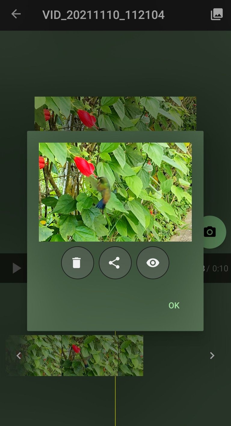 Screenshot_2022-11-15-14-09-13-111_com.inglesdivino.pictureextractor_Snapseed.jpg